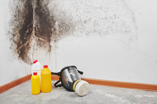 Best Mold Remediation for Healthcare Facilities  in Lakeview, CA